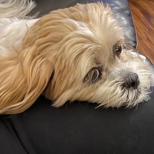 Meet your Posher, Karen